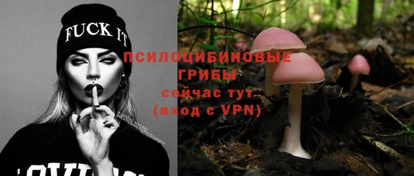 PSILOCYBIN Алексеевка