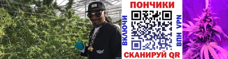 Конопля White Widow  где найти   Кашира 